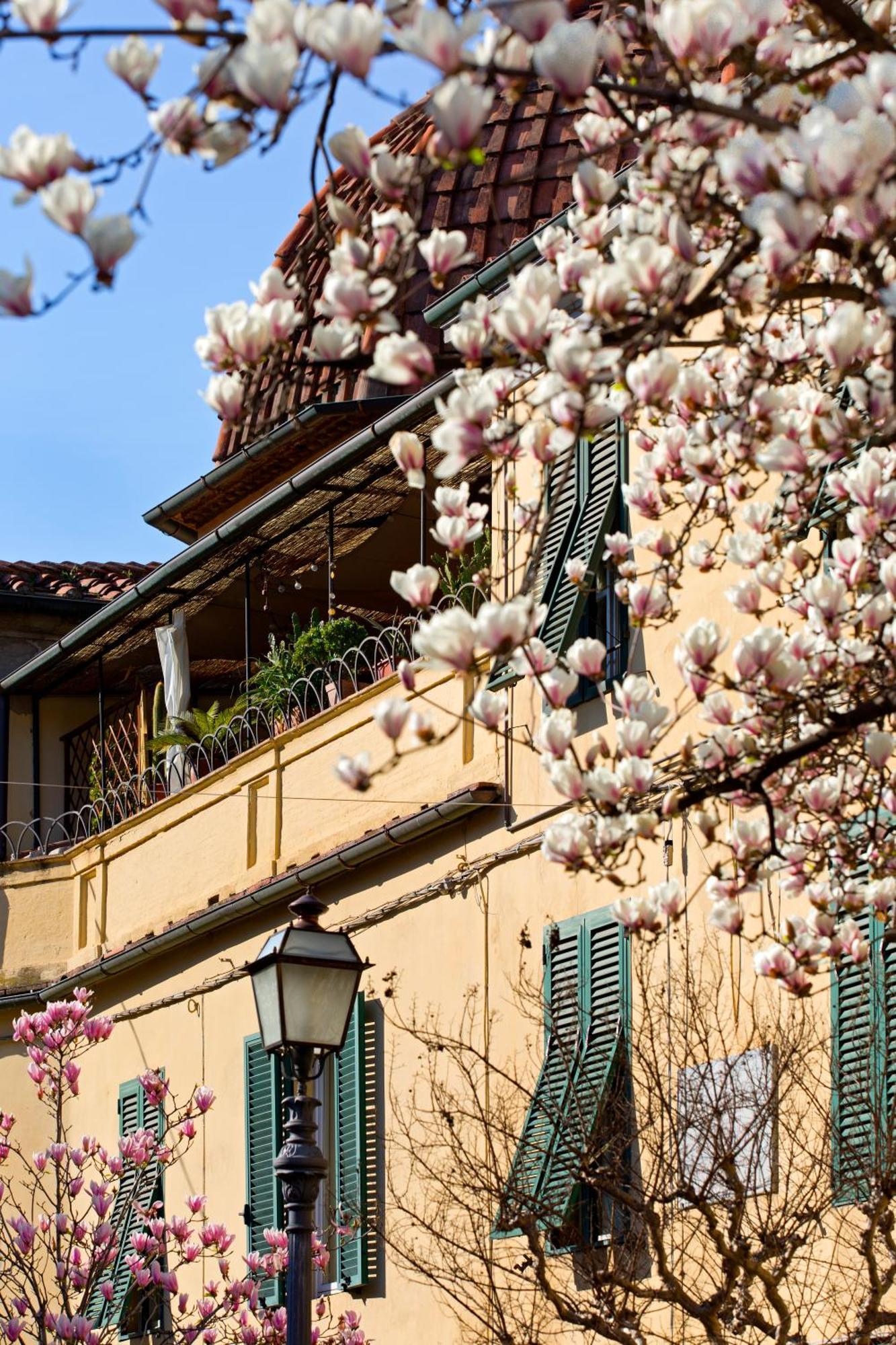 Casa San Girolamo Historic Flat With Cosy Terrace In Lucca'S City Centre ภายนอก รูปภาพ