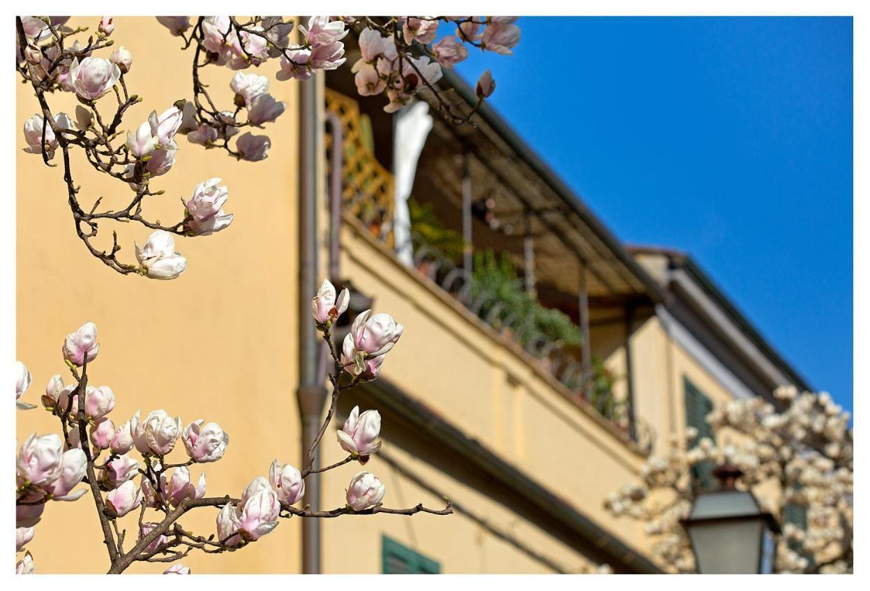 Casa San Girolamo Historic Flat With Cosy Terrace In Lucca'S City Centre ภายนอก รูปภาพ